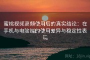 蜜桃视频高频使用后的真实结论：在手机与电脑端的使用差异与稳定性表现