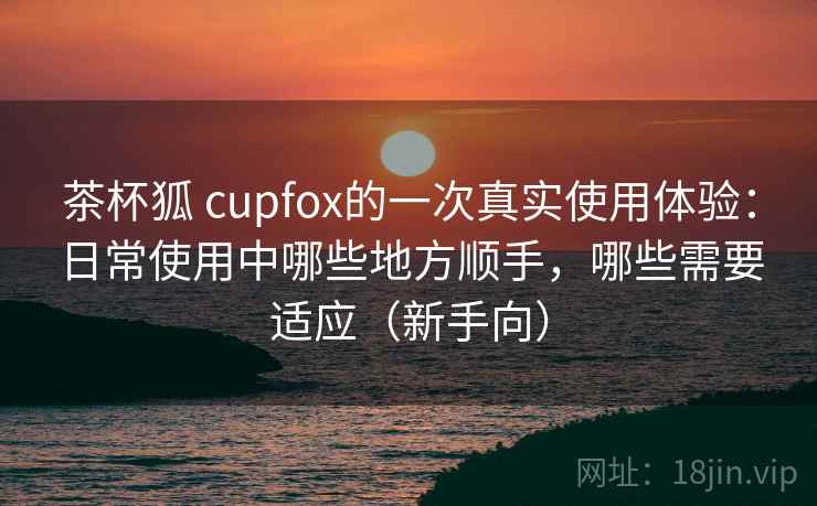 茶杯狐 cupfox的一次真实使用体验：日常使用中哪些地方顺手，哪些需要适应（新手向）