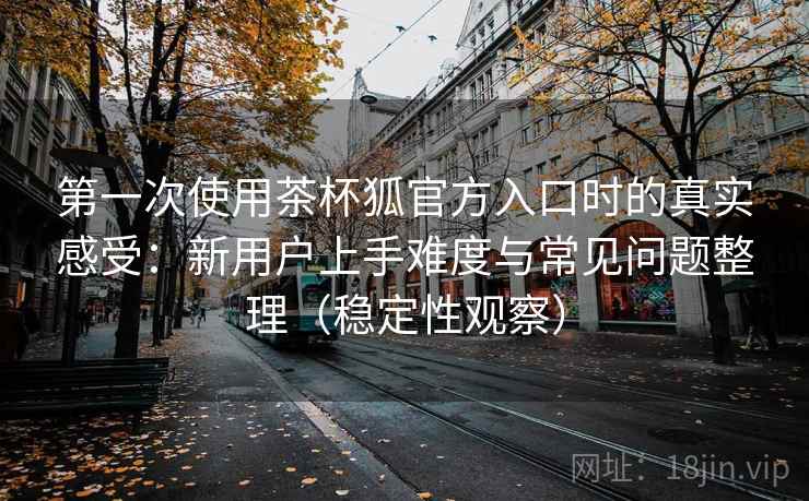 第一次使用茶杯狐官方入口时的真实感受：新用户上手难度与常见问题整理（稳定性观察）