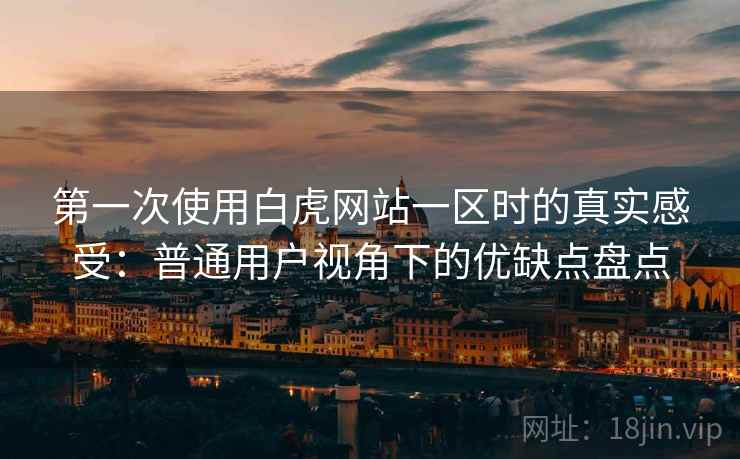 第一次使用白虎网站一区时的真实感受：普通用户视角下的优缺点盘点