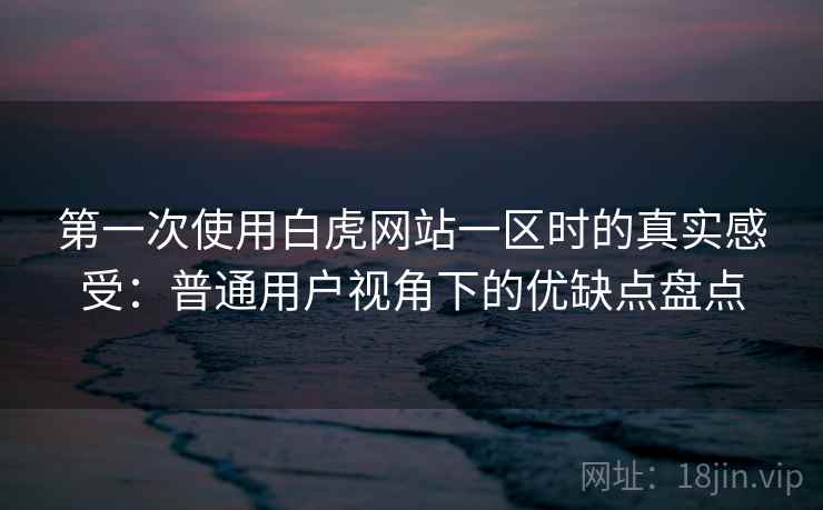 第一次使用白虎网站一区时的真实感受：普通用户视角下的优缺点盘点