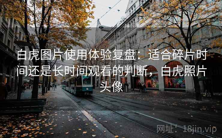 白虎图片使用体验复盘:适合碎片时间还是长时间观看的判断,白虎照片头像 白虎图片使用体验复盘:适合碎片时间还是长时间观看的判断,白虎照片头像