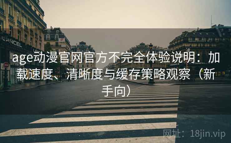 age动漫官网官方不完全体验说明：加载速度、清晰度与缓存策略观察（新手向）