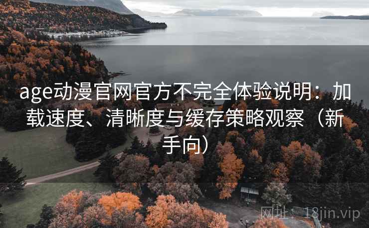 age动漫官网官方不完全体验说明：加载速度、清晰度与缓存策略观察（新手向）